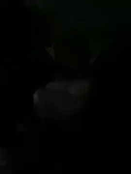 kidnovo online show from February 21, 2:24 am