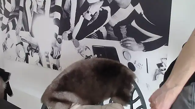 godinflower online show from February 21, 2:19 pm