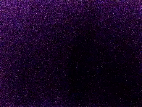 happy sonia online show from December 2, 11:56 am