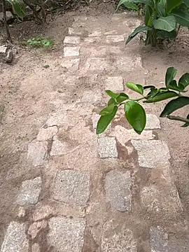 king cum  online show from February 18, 2:24 pm