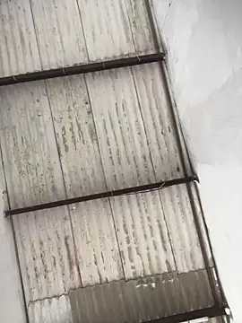 king cum  online show from February 19, 4:48 pm