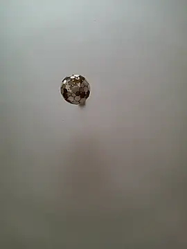 JulianJ50 online show from November 12, 2:32 pm