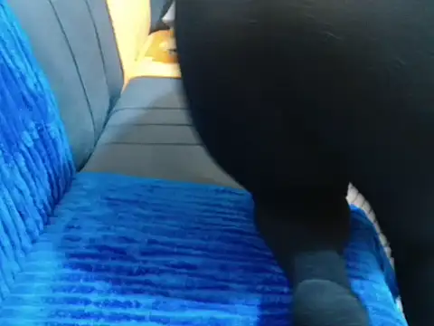 leslysexygirl online show from February 16, 5:28 am