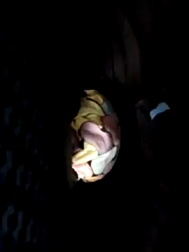 Snapshot of Policeman20742 chatting on February 25, 6:12 pm Policeman20742 online show from February 25, 6:12 pm