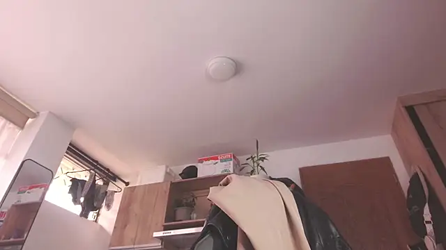 Cutie Shy  online show from May 21, 1:08 pm
