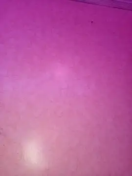 ---sophia--- online show from November 21, 11:04 pm