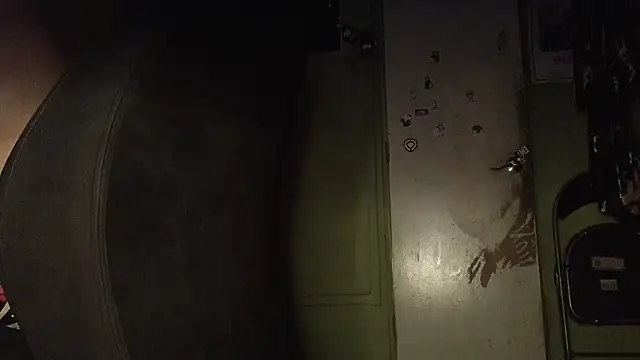 Snapshot of doTao7 chatting on November 23, 6:01 am doTao7 online show from November 23, 6:01 am