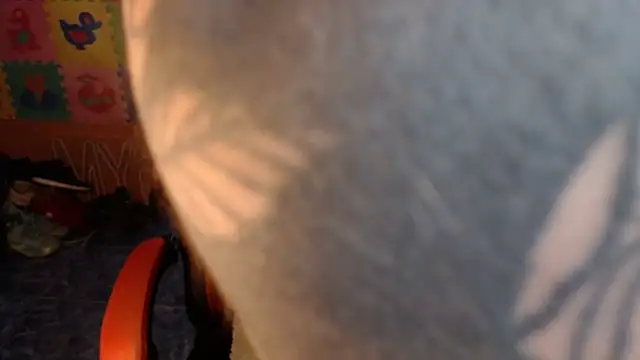 dannafitness online show from March 6, 8:04 pm