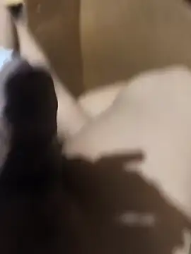 BustedKeeping online show from April 16, 12:39 pm