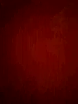 phnz online show from February 11, 1:00 pm