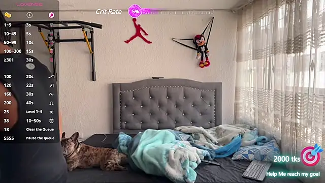 jokergc 2 online show from March 17, 8:19 pm