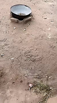 hairipussy2 online show from February 20, 10:59 am