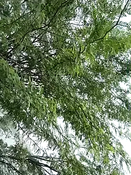 gaysexfun 123 online show from December 20, 7:00 am