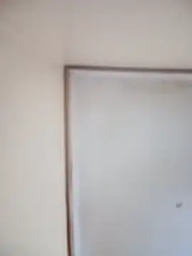 Snapshot of sexxylucia chatting on November 11, 2:39 am sexxylucia online show from November 11, 2:39 am