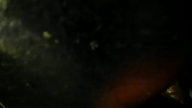 Snapshot of leatherz69 chatting on May 22, 2:42 am leatherz69 online show from May 22, 2:42 am