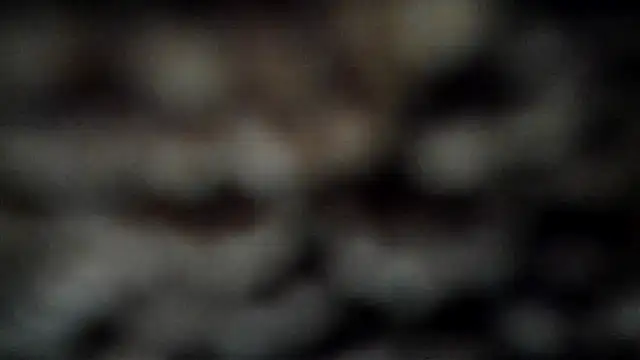 Snapshot of leatherz69 chatting on March 7, 4:02 am leatherz69 online show from March 7, 4:02 am