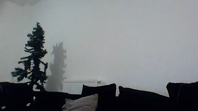 Cinderella Jewels  online show from December 22, 2:01 am