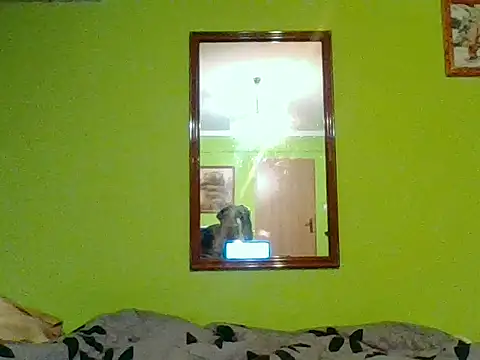 Tiger202441 online show from January 7, 8:25 pm