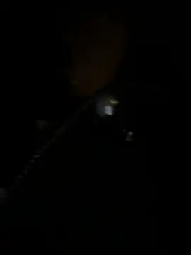 Snapshot of Asia-Melody chatting on March 2, 12:25 pm Asia-Melody online show from March 2, 12:25 pm