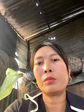 Linaannn online show from January 14, 2:26 am