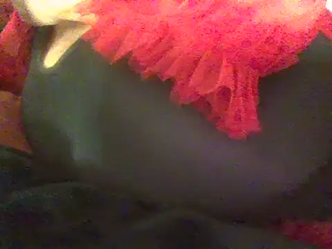 Snapshot of RoxiRedXXX chatting on March 8, 5:01 pm RoxiRedXXX online show from March 8, 5:01 pm