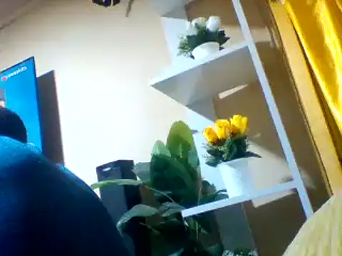 ClinDi online show from October 24, 3:00 pm