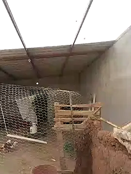 Rober2230 online show from January 12, 7:53 pm