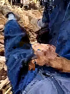 murokkk31 online show from December 4, 8:35 am