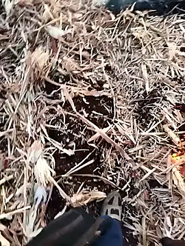 murokkk31 online show from November 27, 4:02 am