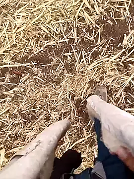 murokkk31 online show from October 21, 4:56 am