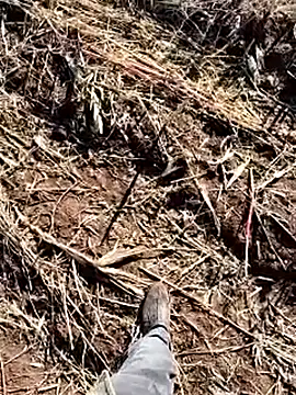 murokkk31 online show from December 14, 8:42 am