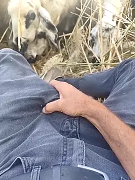 murokkk31 online show from October 29, 9:30 am