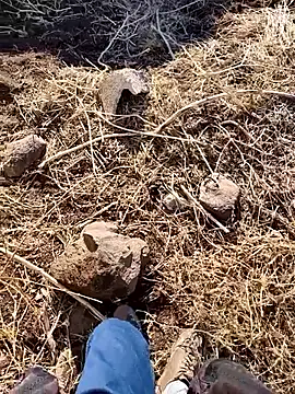 murokkk31 online show from December 3, 6:25 am