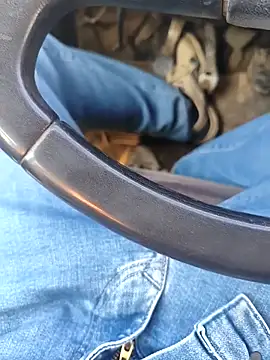 murokkk31 online show from January 8, 8:31 am