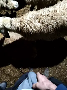 murokkk31 online show from January 9, 11:33 pm