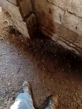 murokkk31 online show from January 14, 7:12 am