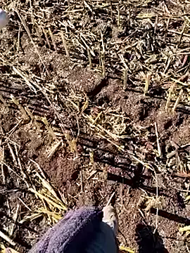 murokkk31 online show from December 18, 9:36 am