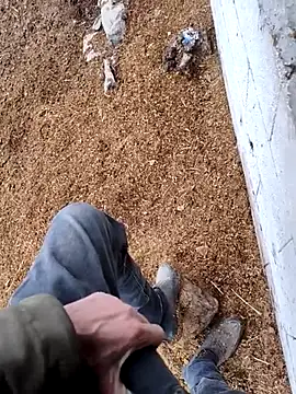 murokkk31 online show from November 15, 12:42 pm