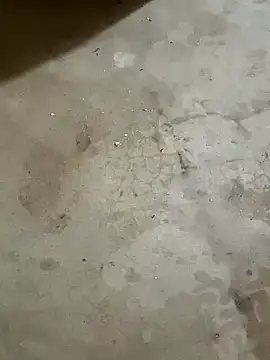 samriyat online show from October 22, 4:45 am