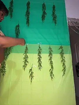 Blazerina online show from April 17, 12:13 am