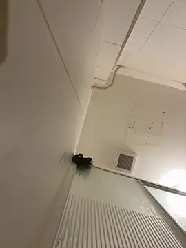 Pablo666666 hot online show from March 31, 7:38 pm