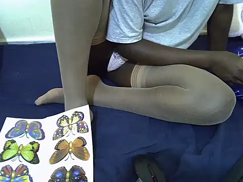 tasty piee online show from March 21, 9:25 am