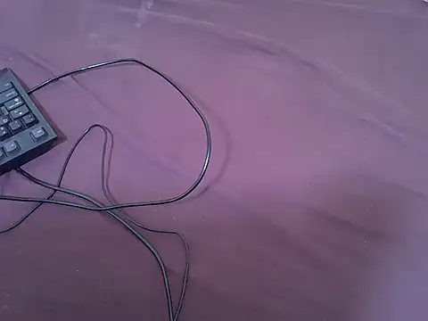 tasty piee online show from February 13, 1:33 pm