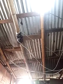 Alanagracia online show from November 15, 12:20 pm