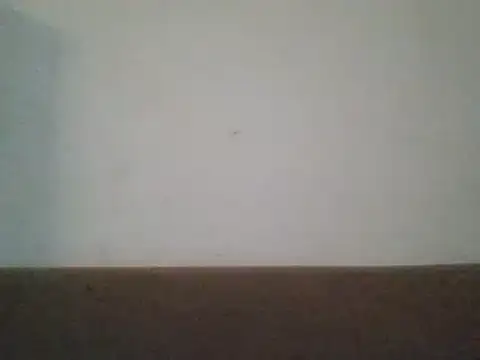 SmallGoodNutts online show from February 3, 7:40 am