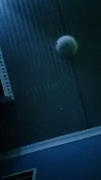 Dickey sa online show from February 13, 8:31 pm