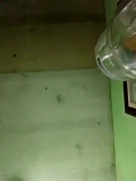 Alonsomadeira online show from December 17, 6:07 am