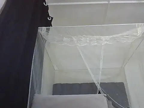 Snapshot of mummie_Nasty254 chatting on November 22, 9:57 pm mummie Nasty254 online show from November 22, 9:57 pm