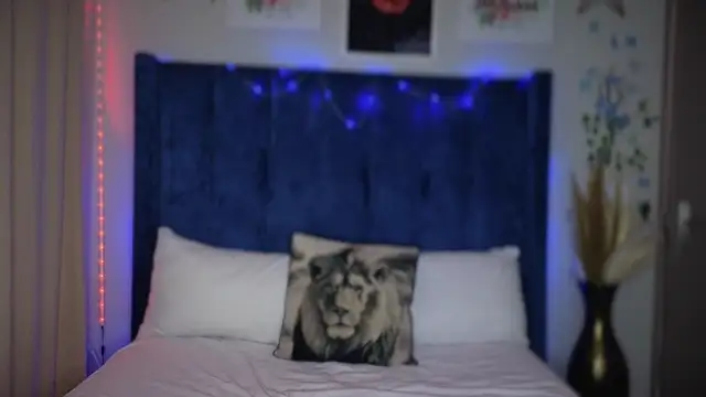 Snapshot of Dime-__ chatting on November 30, 8:20 pm Dime- online show from November 30, 8:20 pm