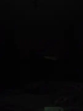 wlammi ptr online show from September 14, 12:22 am